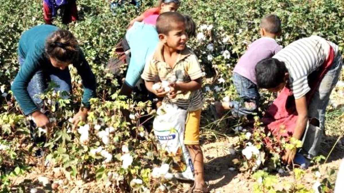 970 Öğrenci Okula Kazandırıldı