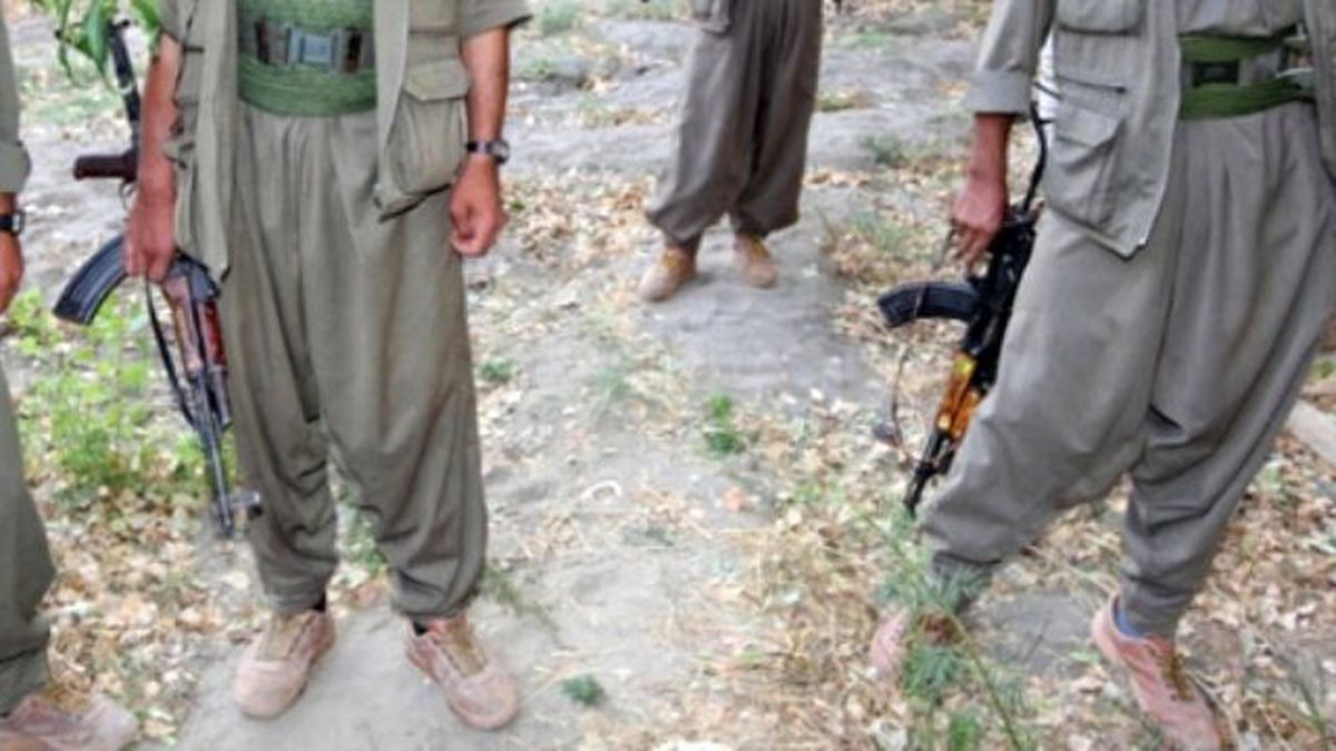 Şırnak\'ta 3 PKK\'lı Teslim Oldu