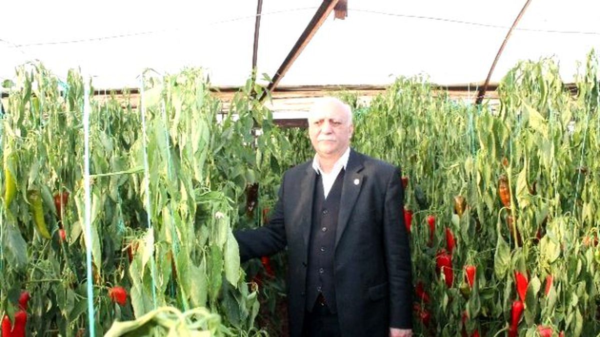 Bayraktar, "Tek Çözüm Tünel Açmaktır"