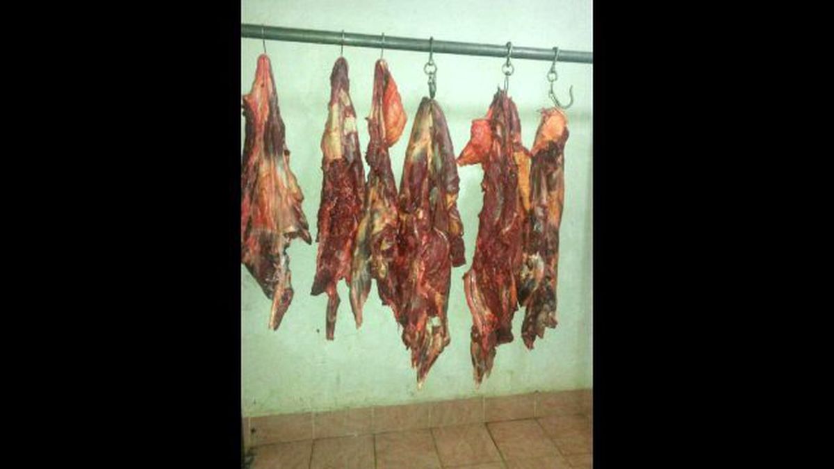Bursa\'da Ele Geçirilen Etler At Eti Çıktı