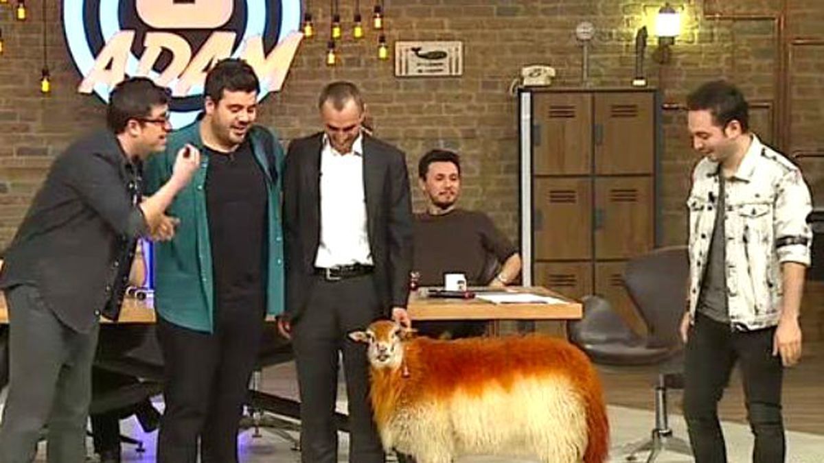 Canlı Yayında Koç Şoku
