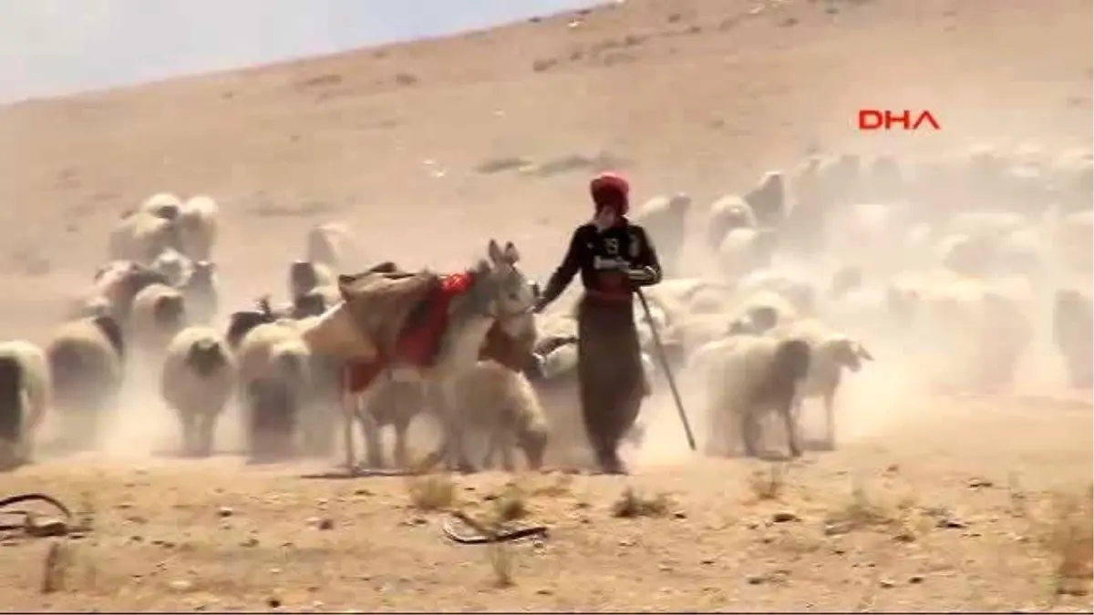 Şengal\'deki \'Kanton\' İlanına Tepkiler Devam Ediyor