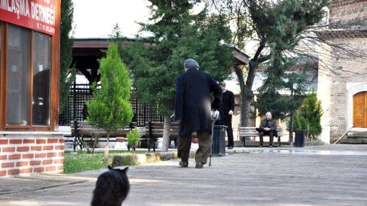 Her Gün 91\'lik Dedeyle Camiye Giden Sokak Kedisi Şaşırttı