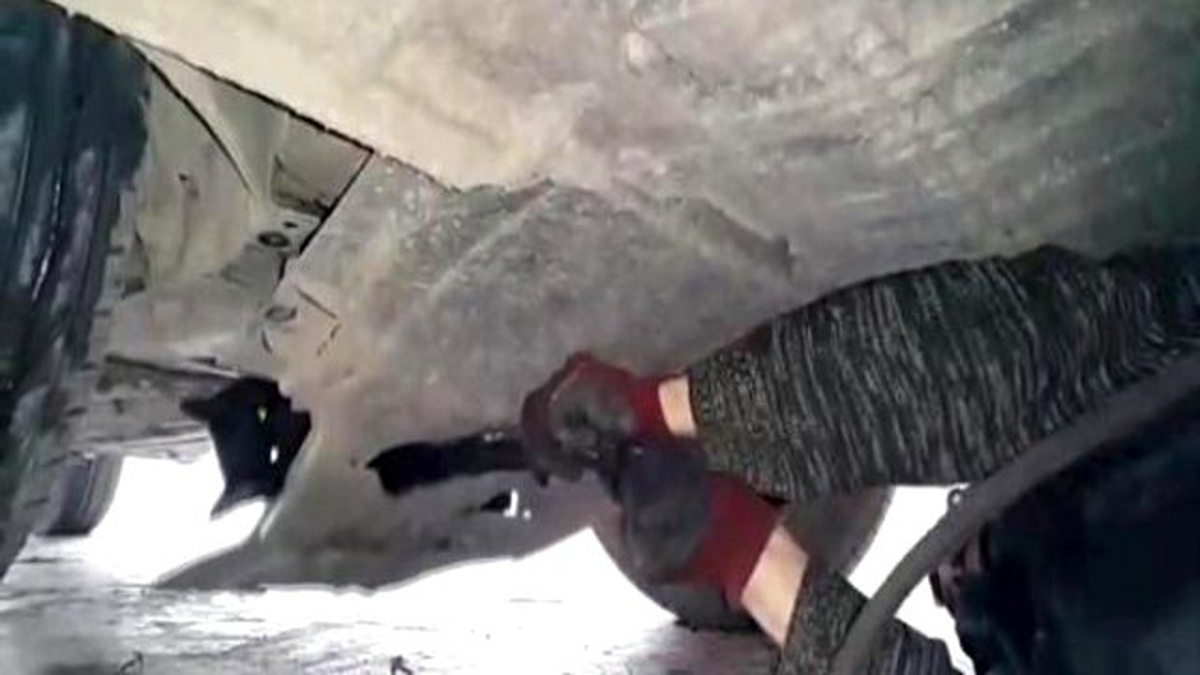Isınmak İçin Otomobilin Altına Giren Kedi, Donarak Telef Oldu
