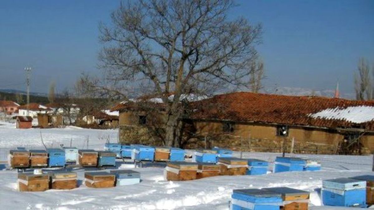 Kar Altında Arılarını Kışlatıyorlar