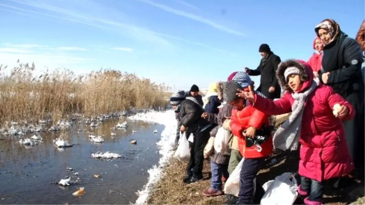 Minik Öğrencilerden Yaban Hayvanlarına Sevgi Eli