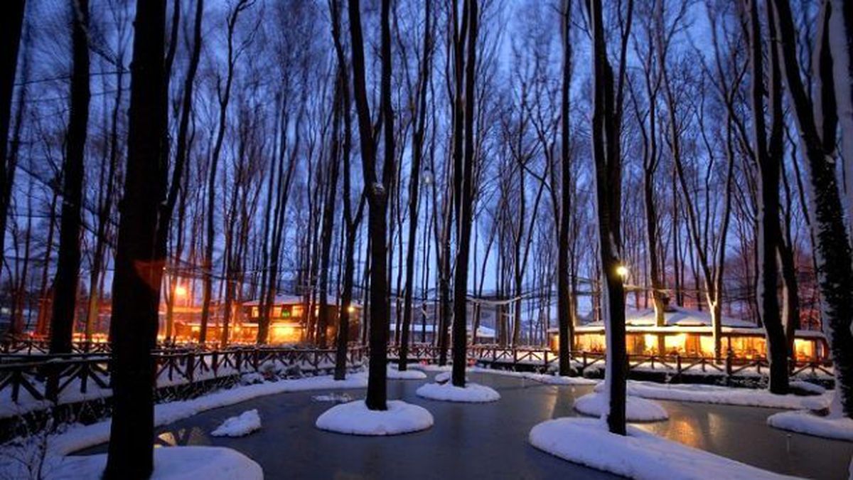 Ormanpark\'ta Sıra Geceleri Devam Ediyor