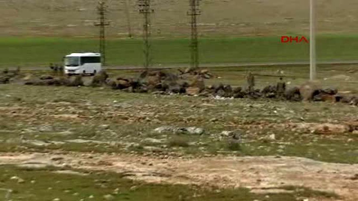 Şanlıurfa\'da Silah Operasyonu: 4 Gözaltı