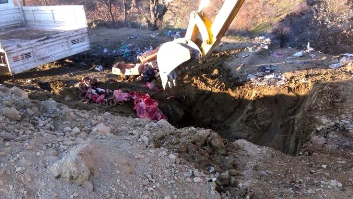 750 Kilo Et İmha Edildi