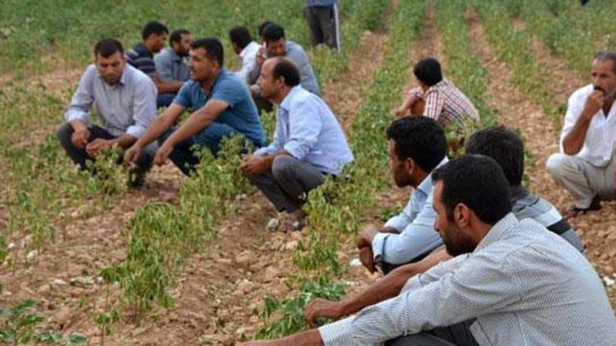 Arada Ezilen Gariban Çiftçi Olacak!