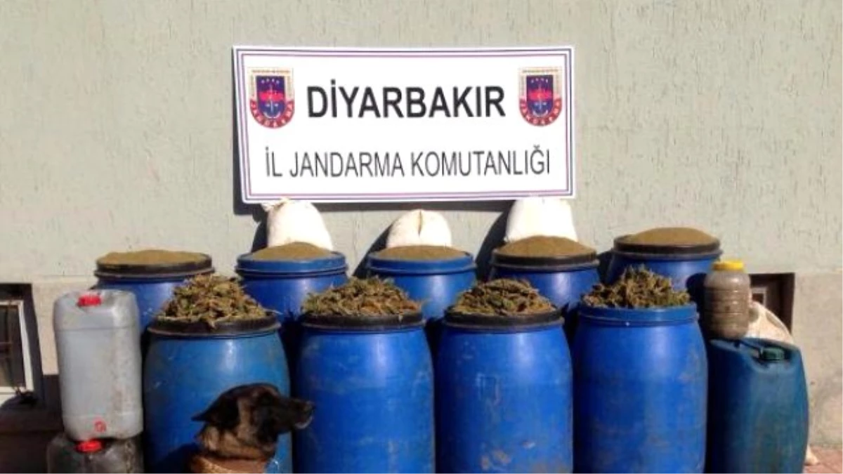 Diyarbakır\'da 254 Kilo Esrar Ele Geçirildi