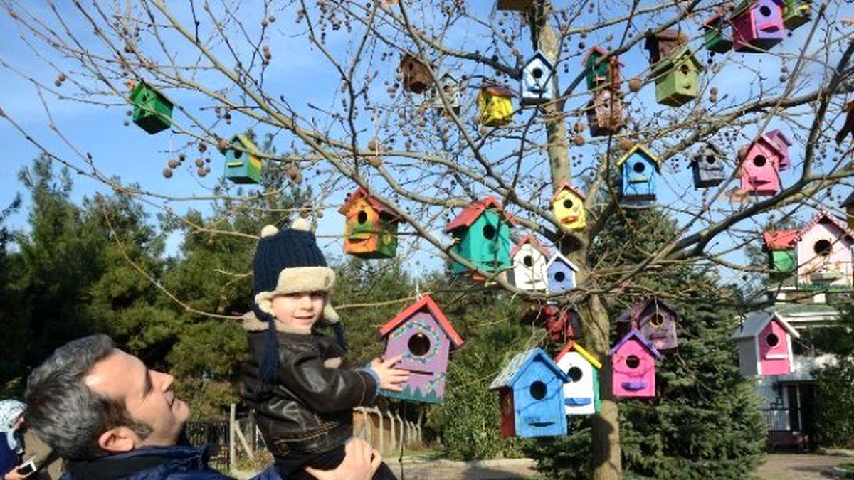 Kuşlar İçin Rengarenk Kuş Evleri