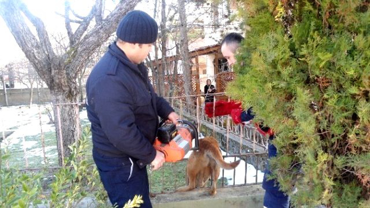 Demir Korkuluklara Sıkışan Köpeği İtfaiye Kurtardı