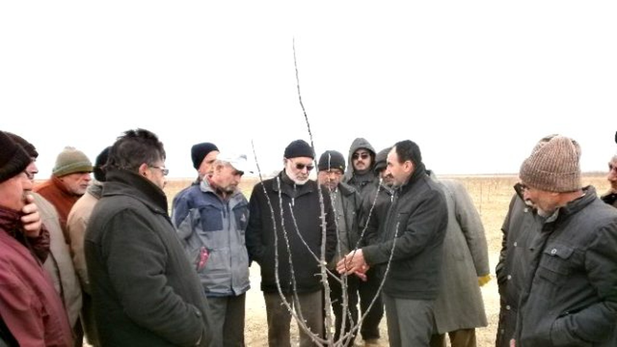Karaman\'da Meyve Yetiştiricilerine Budama Kursu Verildi