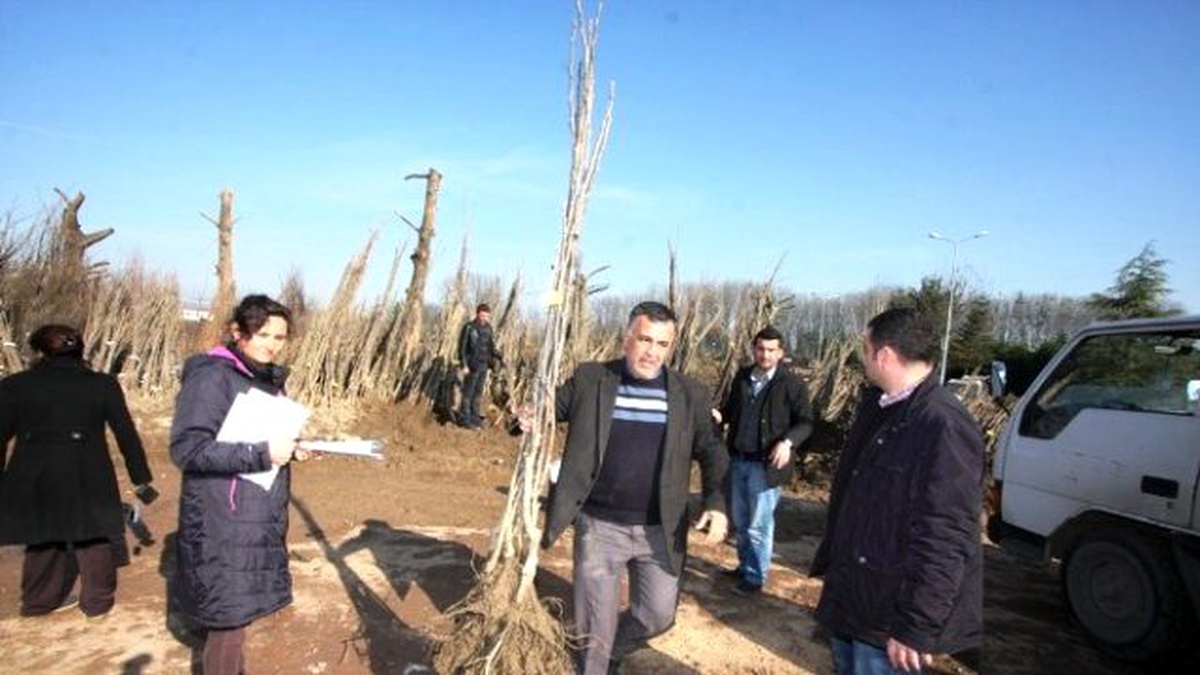 Büyükşehir\'den Çiftçilere 16 Bin Meyve Fidanı