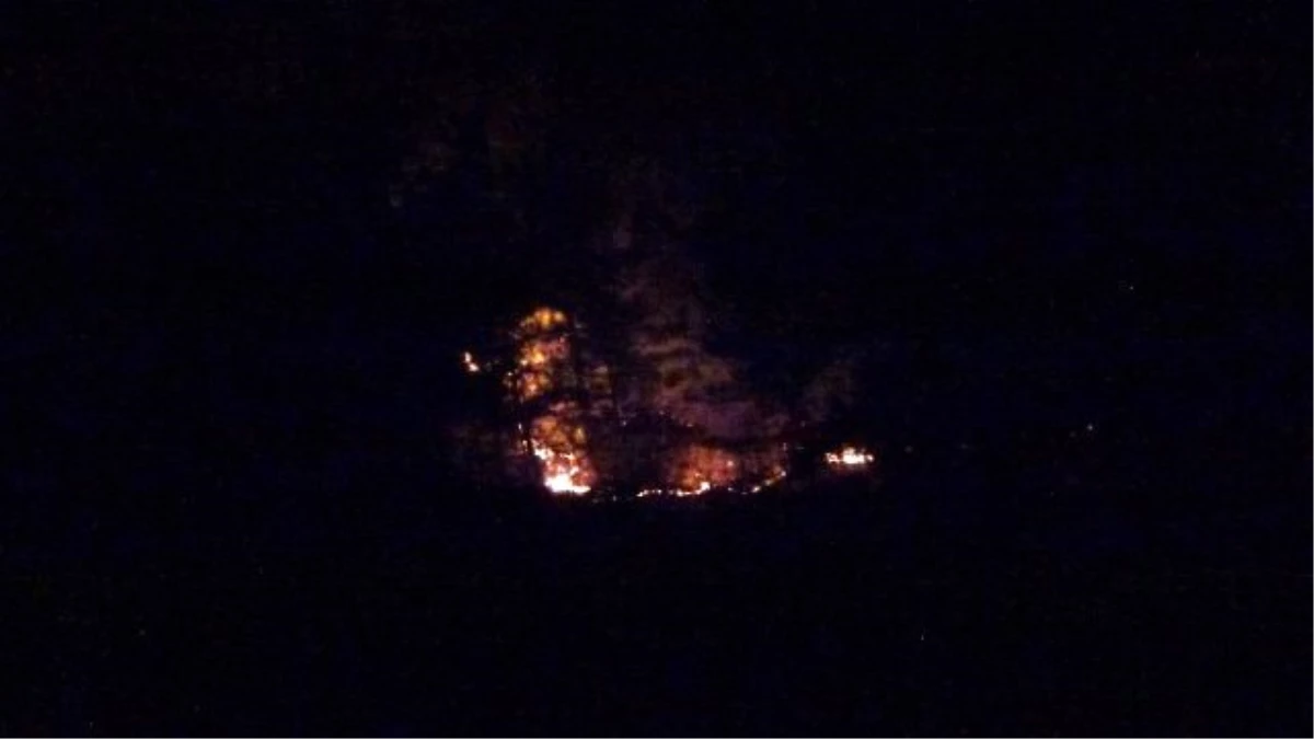 Hatay\'daki Yangında 3 Dekar Orman Zarar Gördü