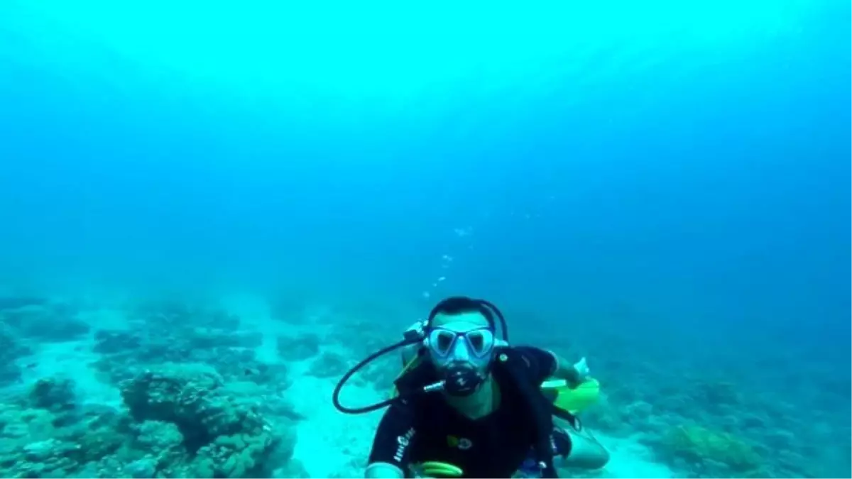 Doğal Akvaryum"Da Dalış Keyfi