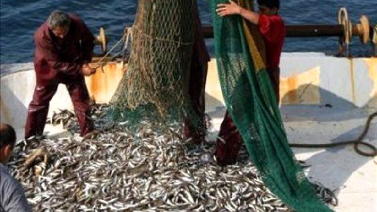 Elazığ\'da, Kaçak Avlananlara Para Cezası