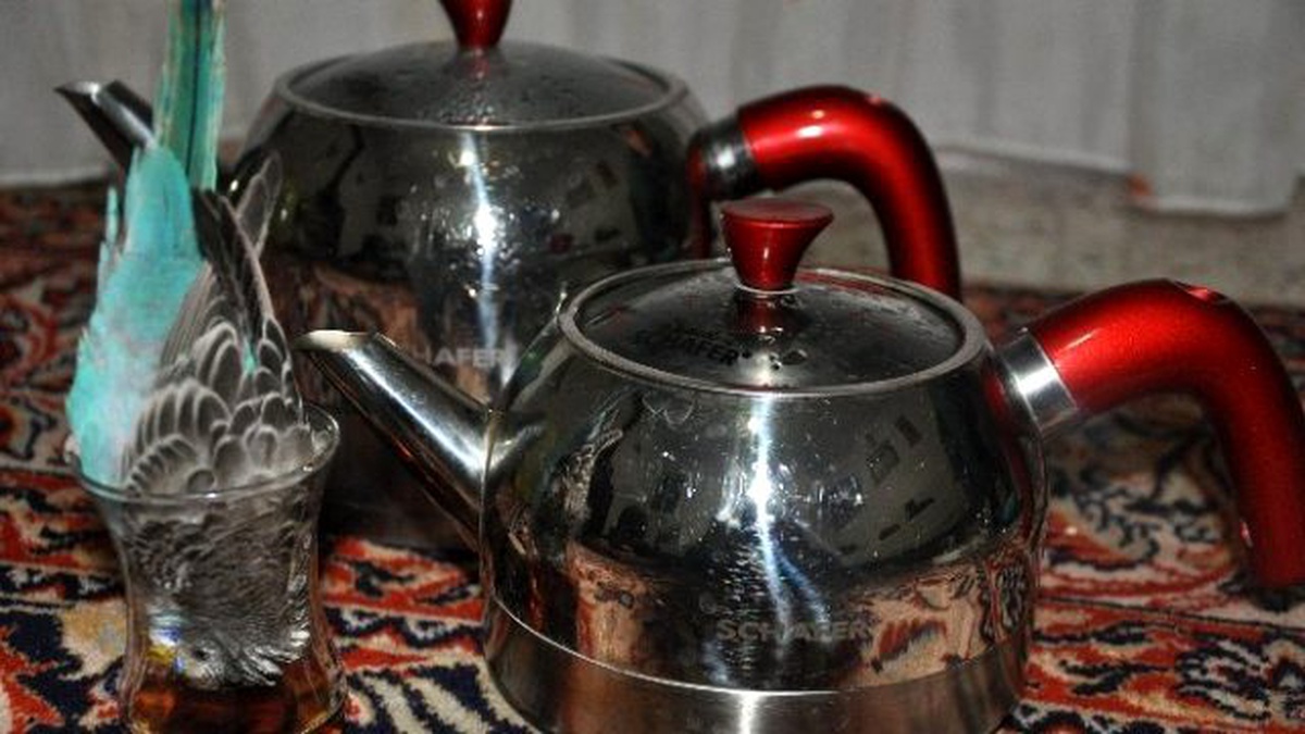 Manisa\'da Çaykolik Muhabbet Kuşu Görenleri Şaşırttı