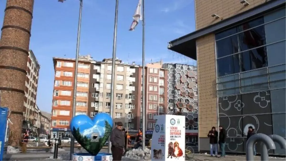 Mama Kutusu Güneş Enerjisi ile Çalışacak