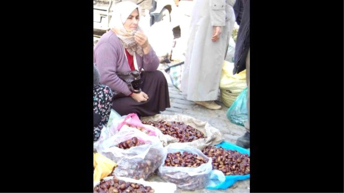 Organik Kestane Zamlandı