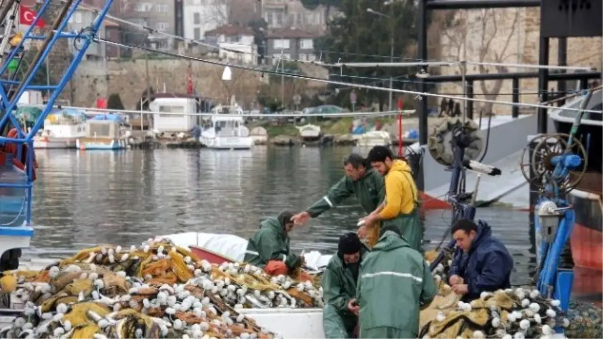 Sinop Limanı\'nda "Oksail" Avı