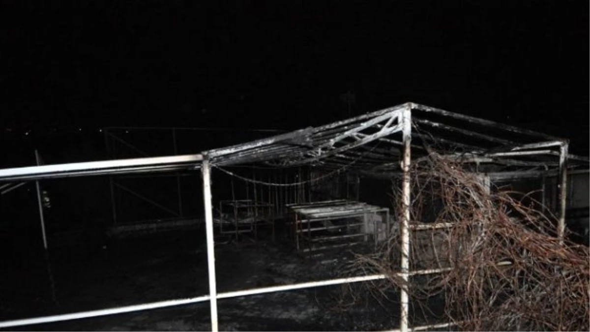 Bodrum\'da Yangın Resroranı Kül Etti
