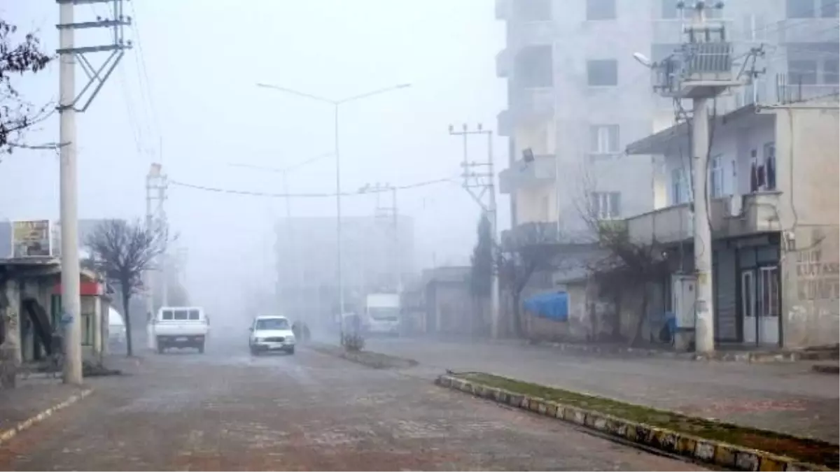 İdil\'de Yoğun Sis Hayatı Olumsuz Etkiledi