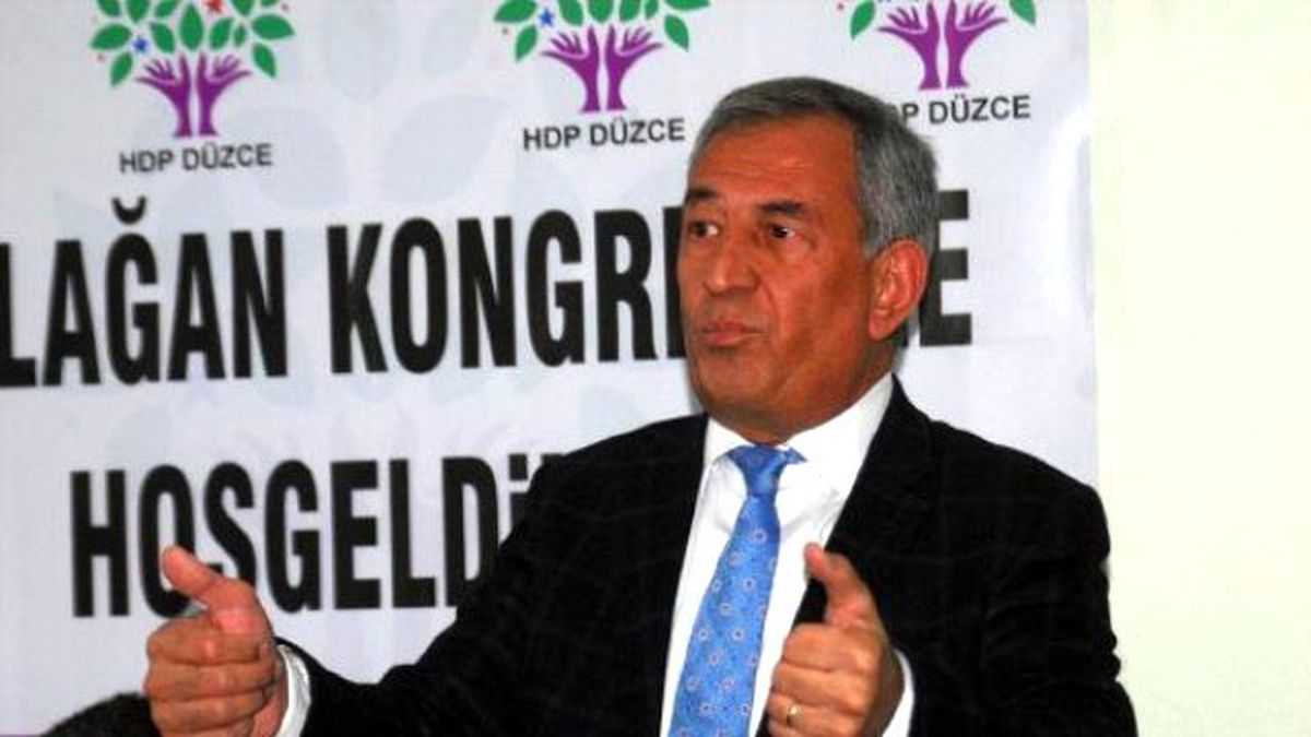 HDP\'li Demir Çelik: Seçim Barajı Üzerinden İstikrar Sağlanmaz