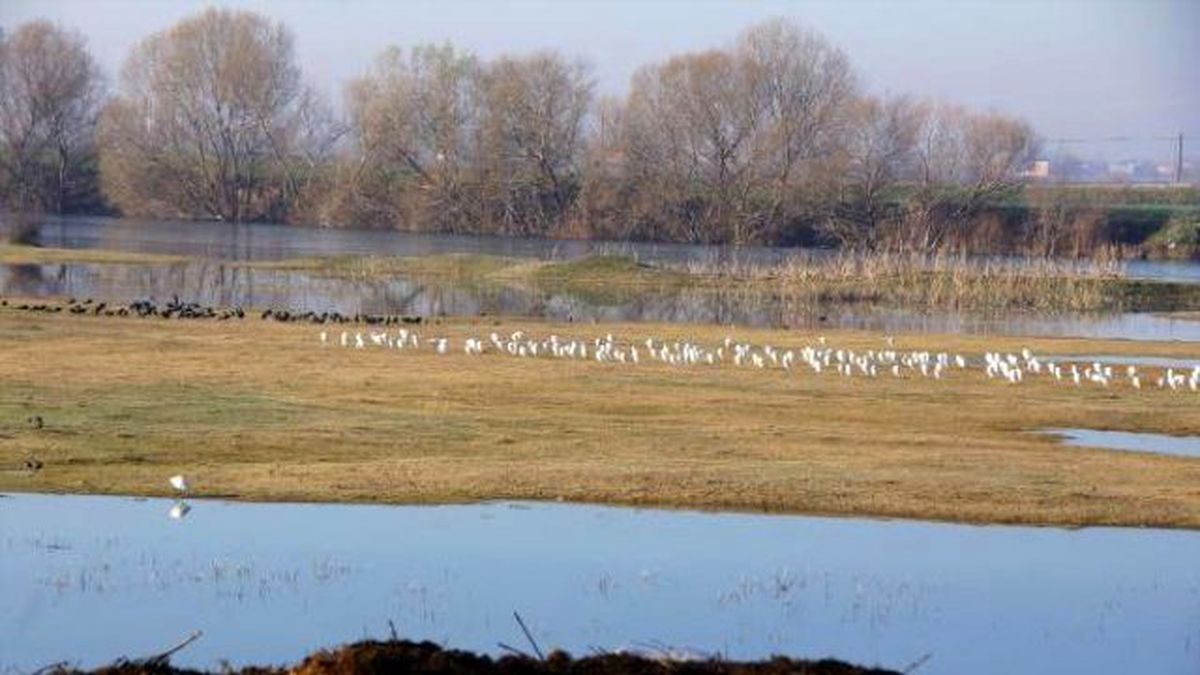 Kuş Cennetinde Kuş Sayımı