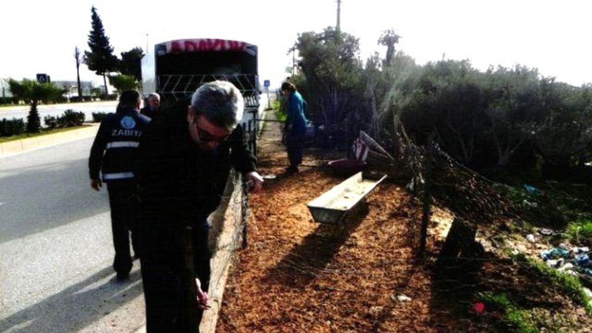 Muratpaşa\'dan Canlı Hayvan Satış Yerlerine Düzenleme