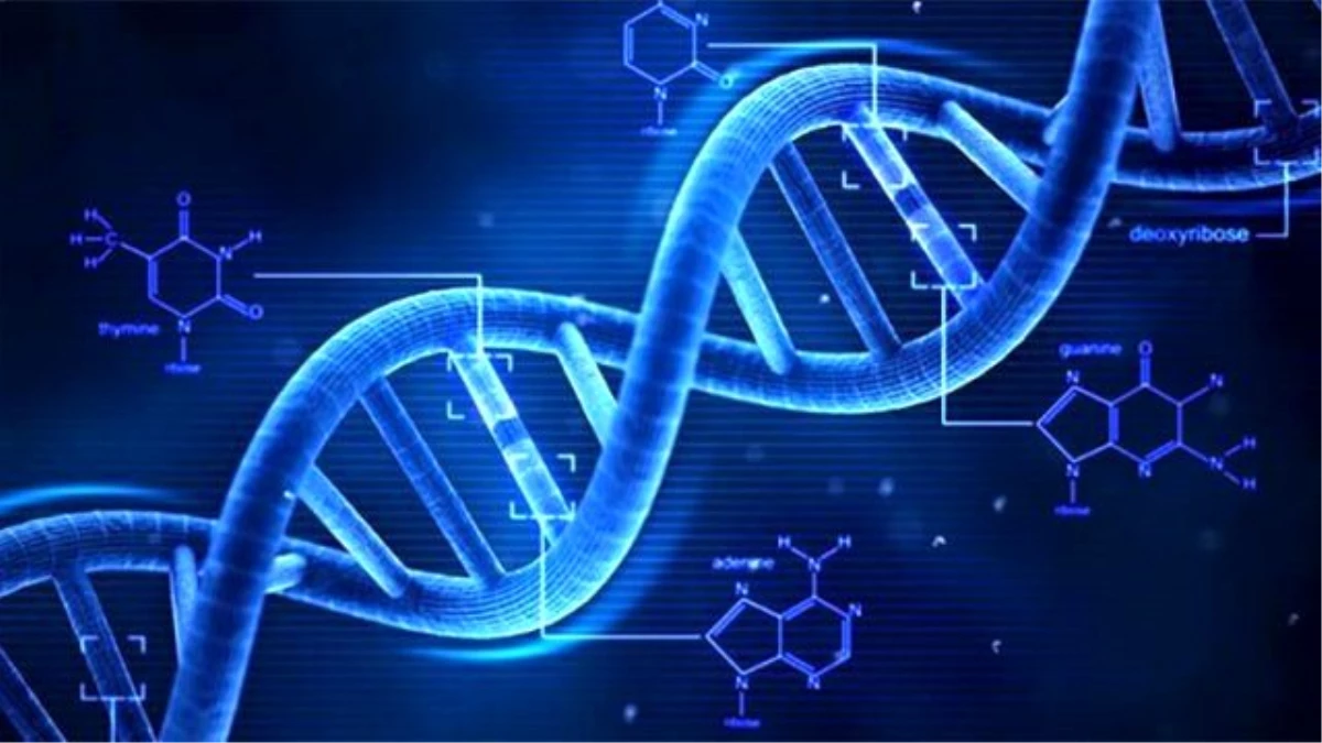 Ölüm Tarihiniz DNA\'nızda Saklı