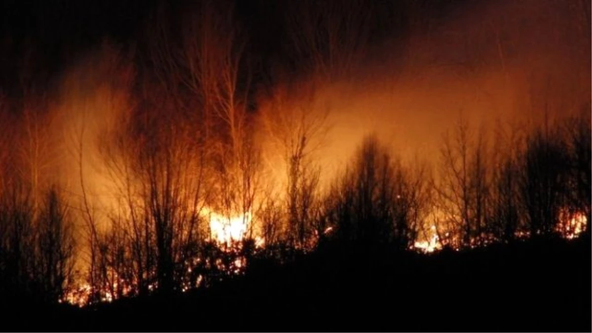 Amasra\'da Orman Yangını
