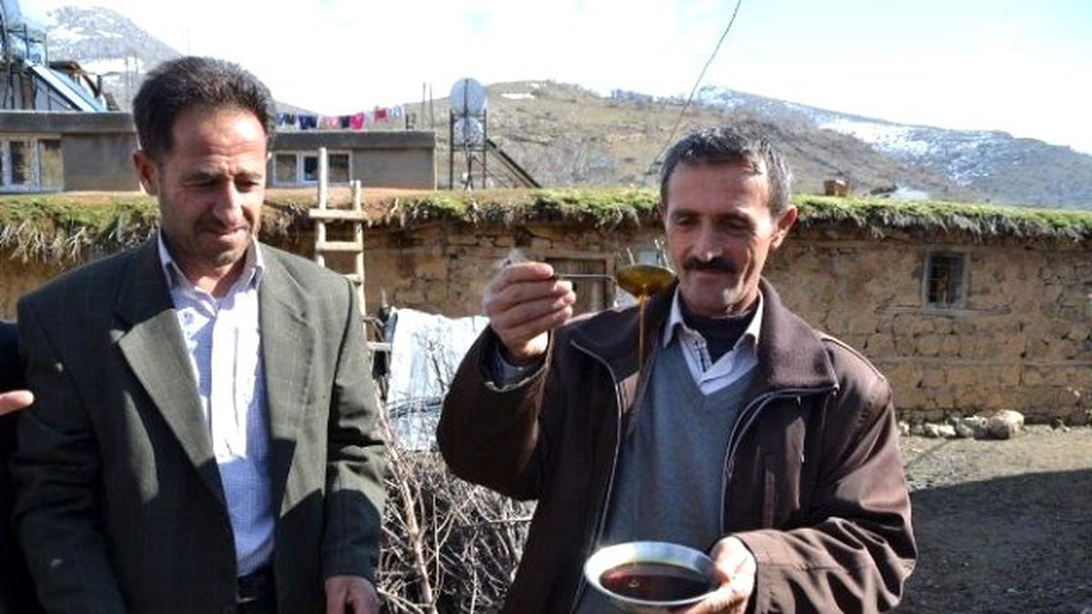 Don Pekmezi de Vurdu