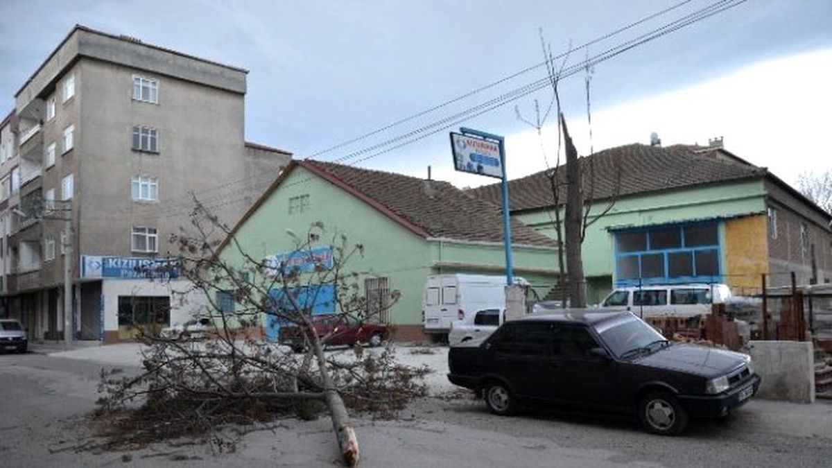 Kırılan Ağaç Elektrik Tellerini Koparttı