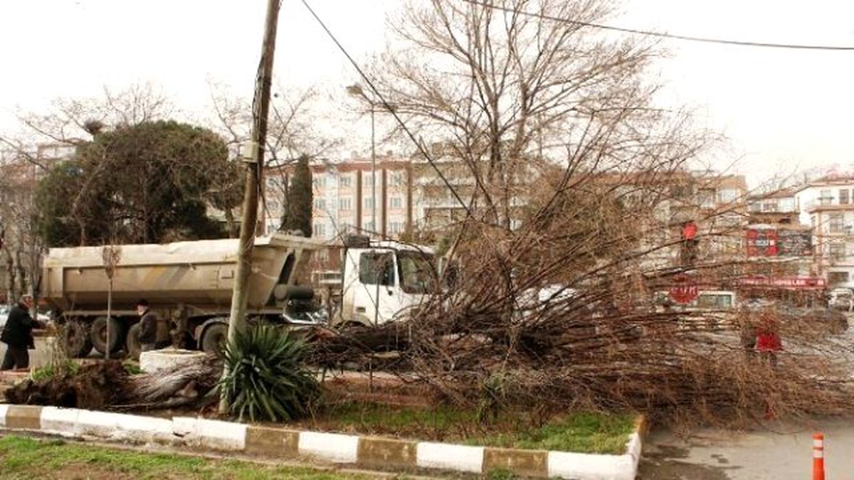 Lodos Tekirdağ\'da Ağaçları Söktü, Tabelaları Kopardı