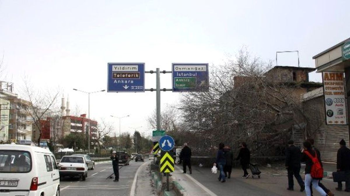 Lodos, Zincirle Bağlanan Ağacı Bile Devirdi