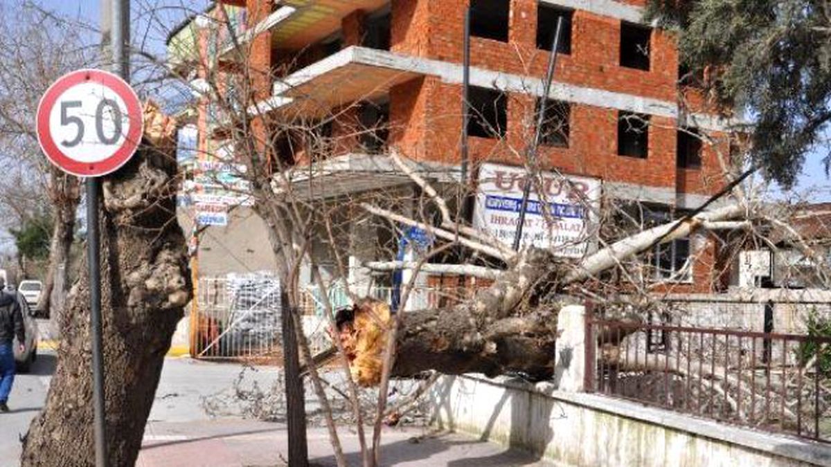Şiddetli Lodos Denizli\'de Çatıları Uçurdu