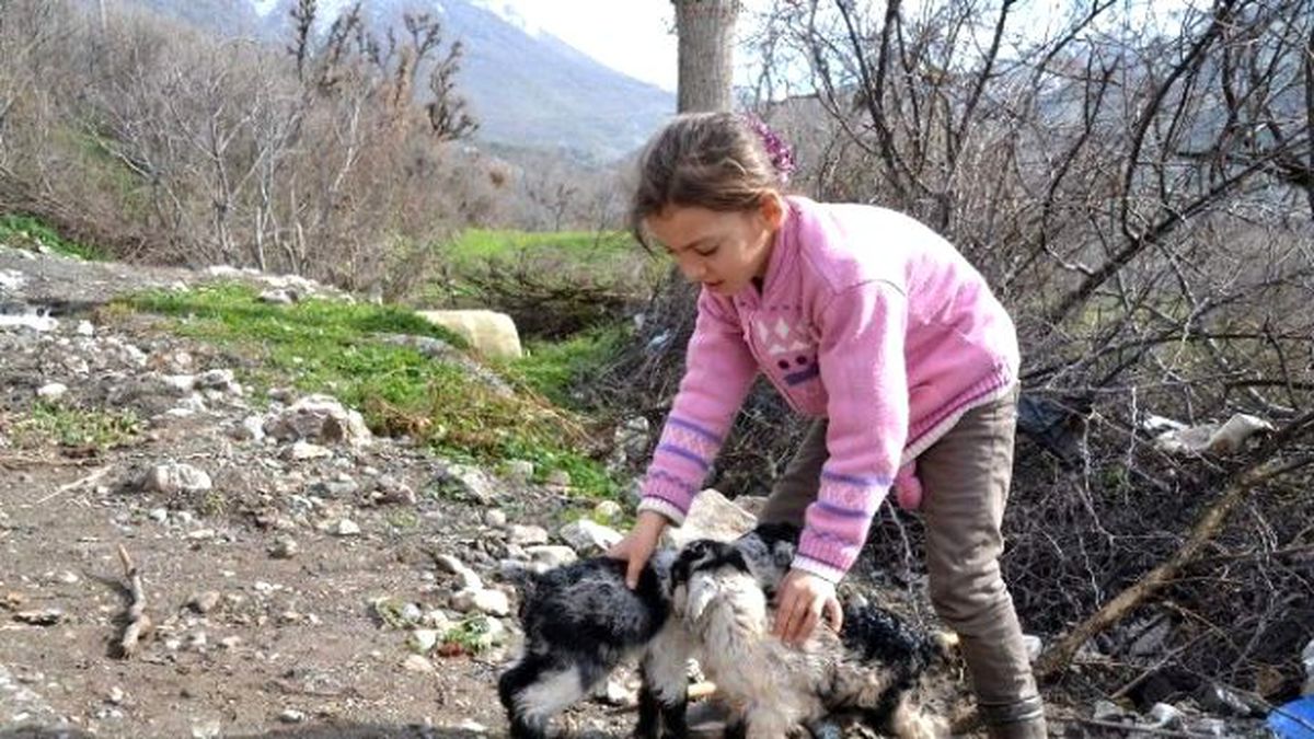 Siirt\'te Yavrulama Dönemi Başladı
