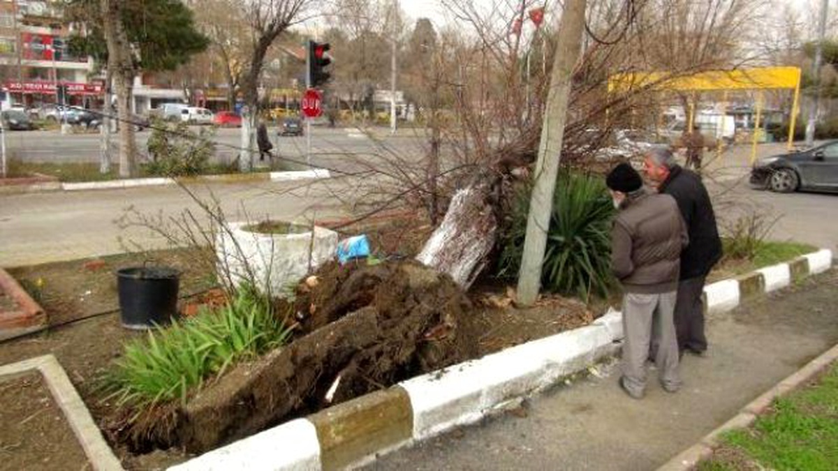Trakya\'da Fırtına Etkili Oldu (2)