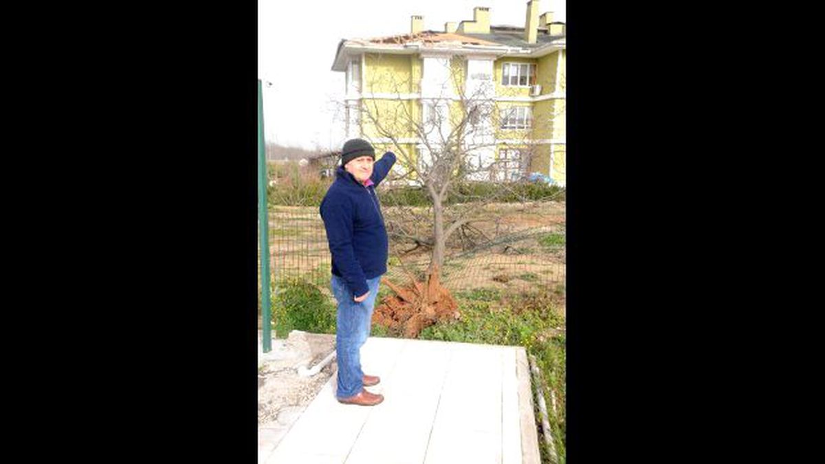 Yalova\'da Deniz Ulaşımına Lodos Engeli (2)