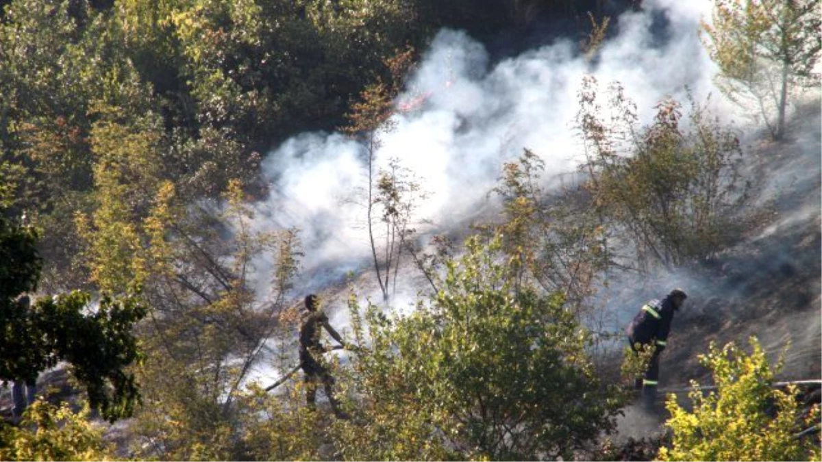 Zonguldak\'ta Orman Yangını (2)