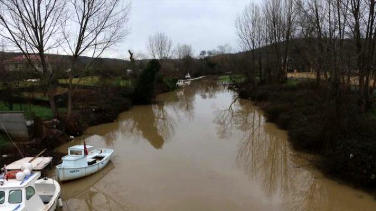Böylesi İlkkez Oluyor..riva Deresi Ölü Balık Akıyor