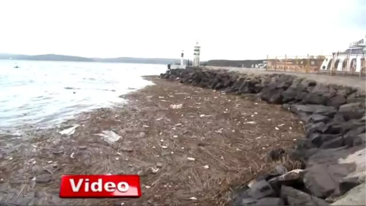 Çanakkale Boğazı Çöplüğe Döndü