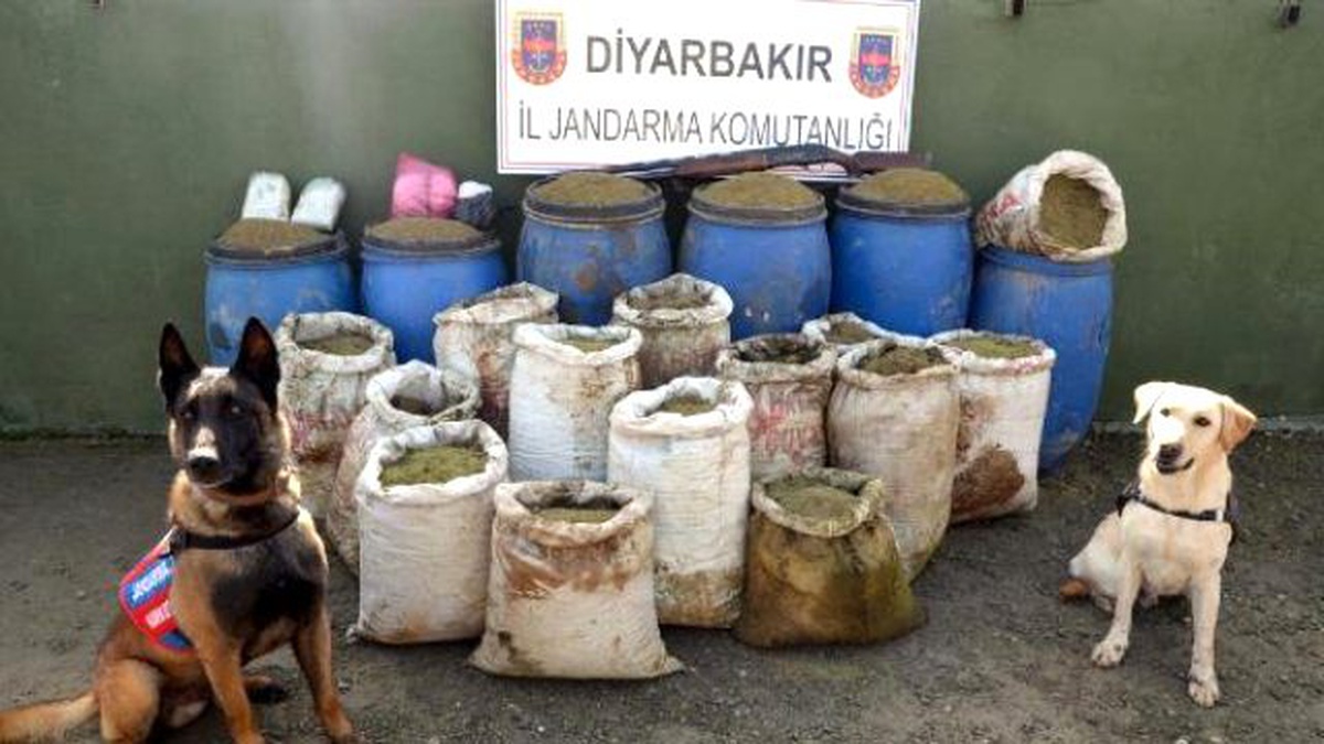 Diyarbakır\'da 347 Kilo Esrar Ele Geçirildi