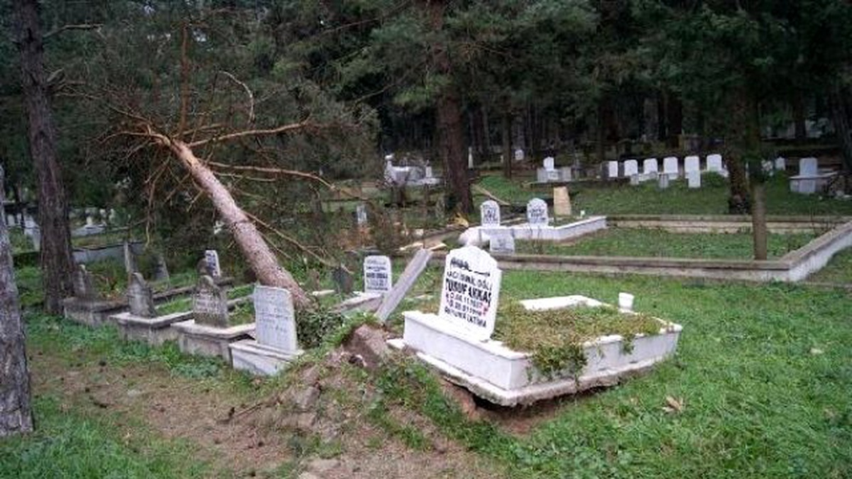 Lodos Sakarya\'da Mezarları Alt Üst Etti