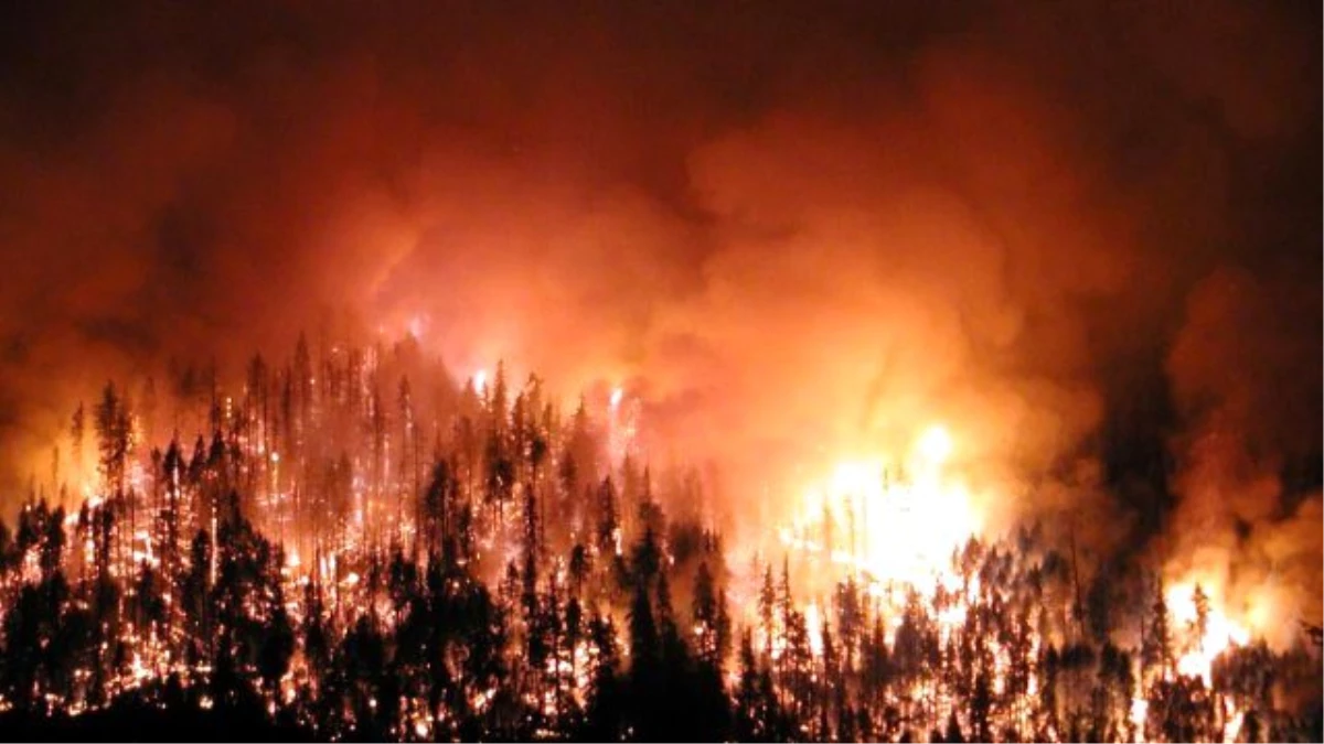 Lodos Samsun\'da Orman Yangınlarına Neden Oldu (2)