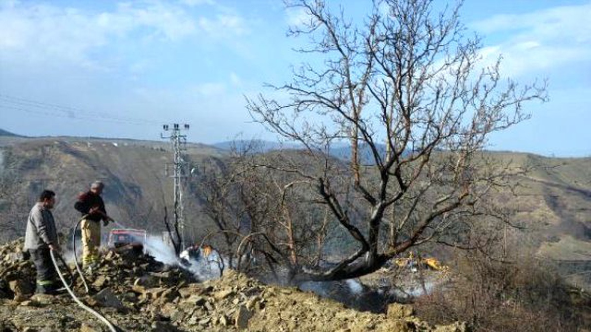 Lodos, Samsun\'da Orman Yangınlarına Neden Oldu (3)