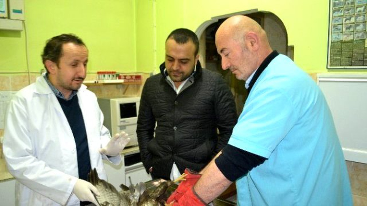 Hasta Kartala Vatandaş Sahip Çıktı