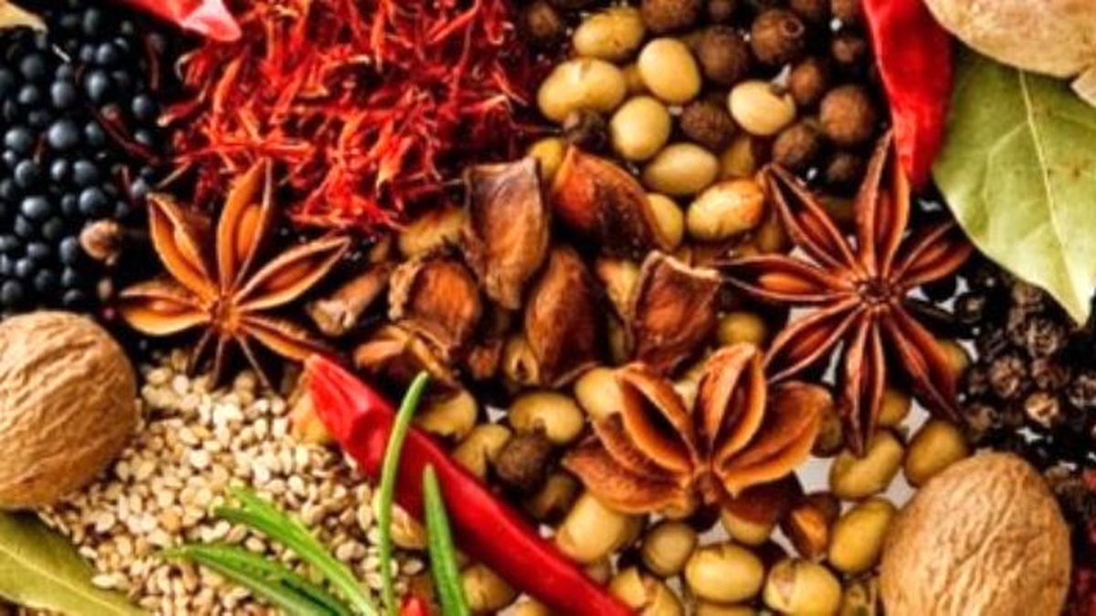 Türkiye, Tıbbi ve Aromatik Bitkilerden 100 Milyar Dolar Gelir Sağlayabilir"